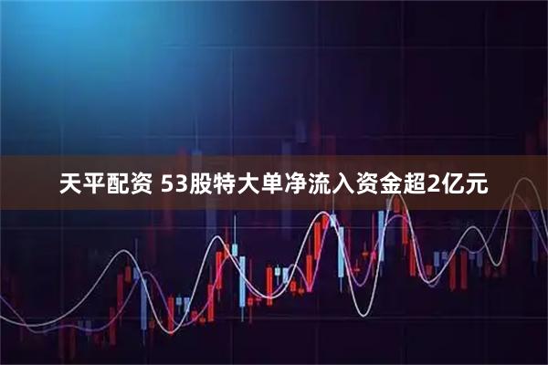 天平配资 53股特大单净流入资金超2亿元