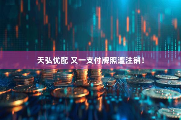 天弘优配 又一支付牌照遭注销！