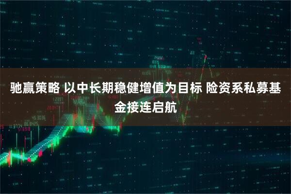 驰赢策略 以中长期稳健增值为目标 险资系私募基金接连启航
