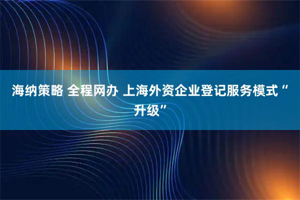 海纳策略 全程网办 上海外资企业登记服务模式“升级”