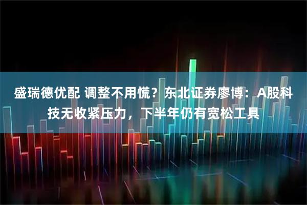 盛瑞德优配 调整不用慌？东北证券廖博：A股科技无收紧压力，下半年仍有宽松工具